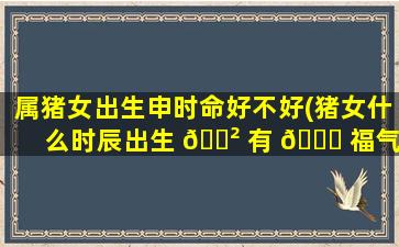 属猪女出生申时命好不好(猪女什么时辰出生 🌲 有 🐛 福气)